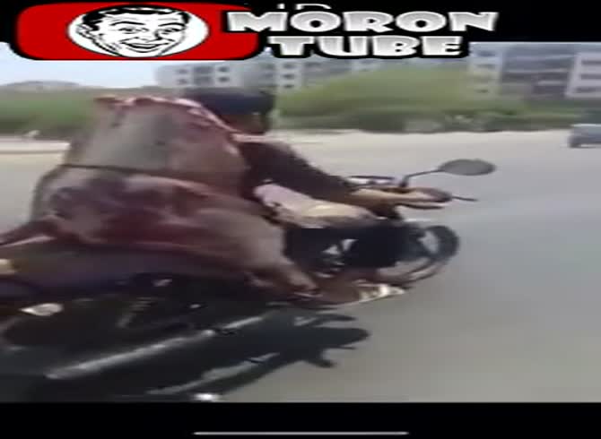Video :A fifth of the beef is transported by motorcycle